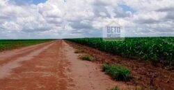 Fazenda com dupla aptidão disponível para venda em Carolina – Maranhão