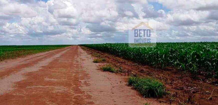 Fazenda com dupla aptidão disponível para venda em Carolina – Maranhão
