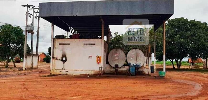 Fazenda com dupla aptidão disponível para venda em Carolina – Maranhão