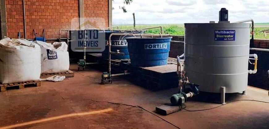 Fazenda com dupla aptidão disponível para venda em Carolina – Maranhão