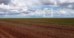 Fazenda com dupla aptidão disponível para venda em Carolina – Maranhão