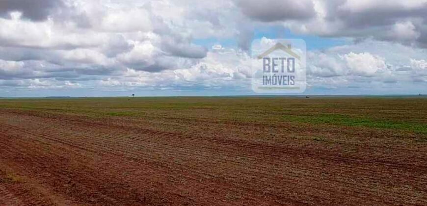 Fazenda com dupla aptidão disponível para venda em Carolina – Maranhão