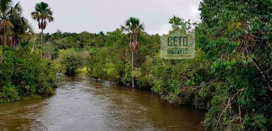 Fazenda com dupla aptidão disponível para venda em Carolina – Maranhão