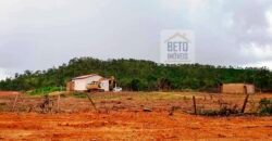 Fazenda com dupla aptidão disponível para venda em Carolina – Maranhão