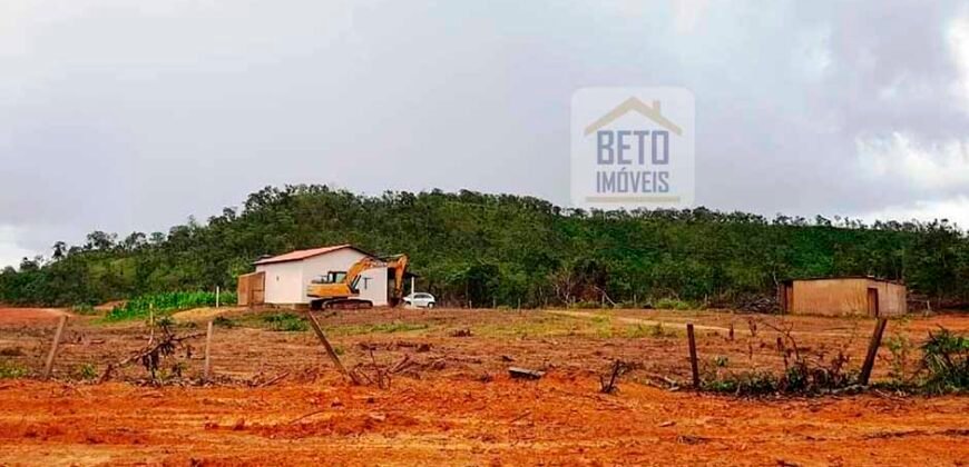 Fazenda com dupla aptidão disponível para venda em Carolina – Maranhão