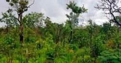 Fazenda com dupla aptidão disponível para venda em Carolina – Maranhão