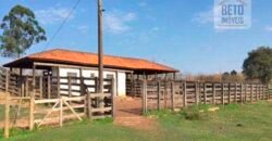 Fezenda de Búfula da Campina 298,63 hectares em Santana do Itararé – PR