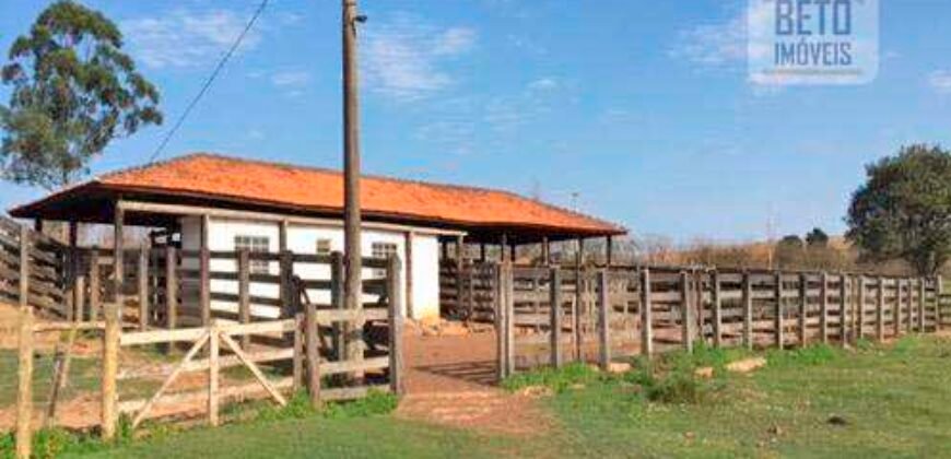Fezenda de Búfula da Campina 298,63 hectares em Santana do Itararé – PR