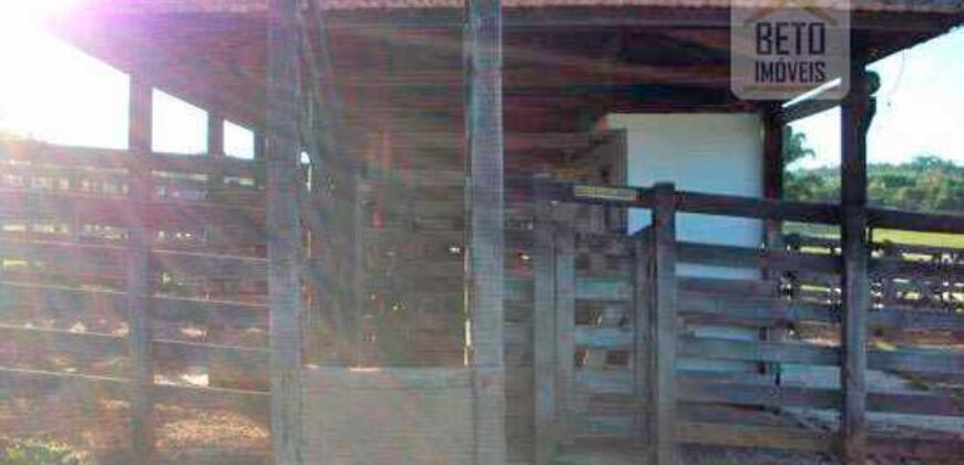 Fezenda de Búfula da Campina 298,63 hectares em Santana do Itararé – PR