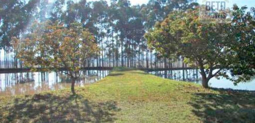Fezenda de Búfula da Campina 298,63 hectares em Santana do Itararé – PR