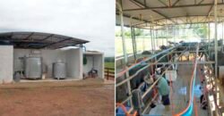 Fezenda de Búfula da Campina 298,63 hectares em Santana do Itararé – PR