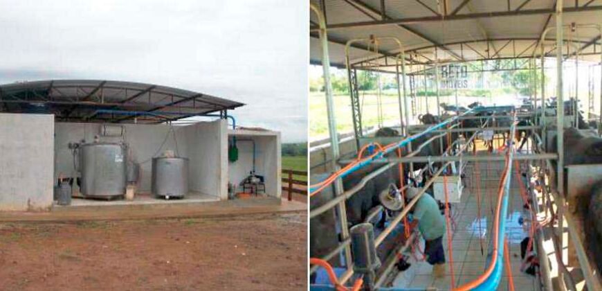 Fezenda de Búfula da Campina 298,63 hectares em Santana do Itararé – PR