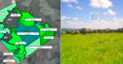 Fezenda de Búfula da Campina 298,63 hectares em Santana do Itararé – PR