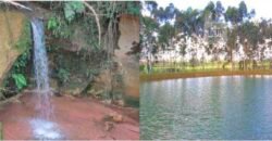Fezenda de Búfula da Campina 298,63 hectares em Santana do Itararé – PR