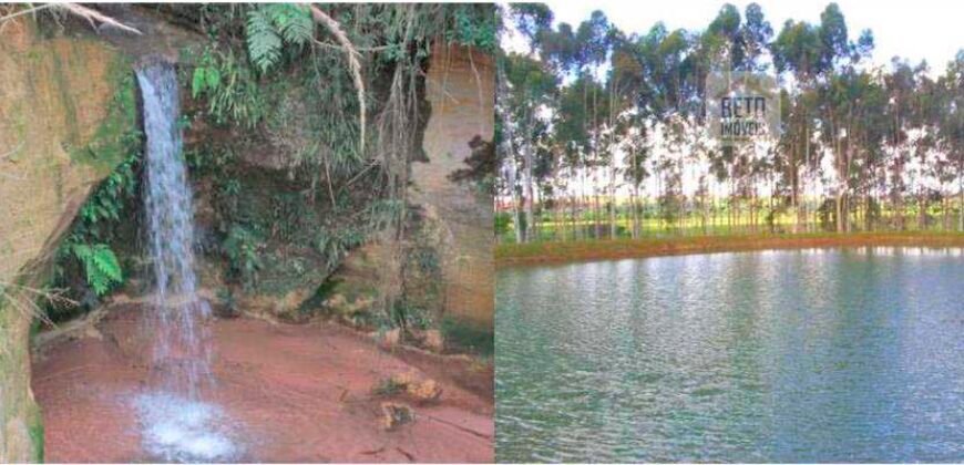 Fezenda de Búfula da Campina 298,63 hectares em Santana do Itararé – PR
