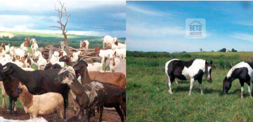 Fezenda de Búfula da Campina 298,63 hectares em Santana do Itararé – PR