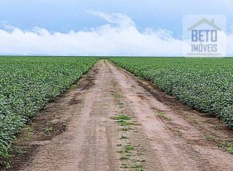 Fazenda com 21750 hectares em São Félix de Balsas – MA