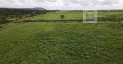Fazenda com 20.000 Hectares em Almeirim – Pará