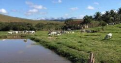 Fazenda a venda na cidade de Silva Jardim/ RJ,  30.6 alqueires