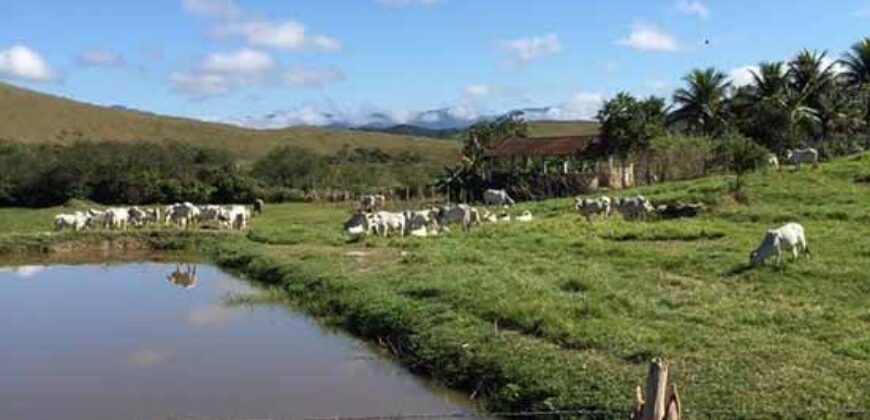 Fazenda a venda na cidade de Silva Jardim/ RJ,  30.6 alqueires