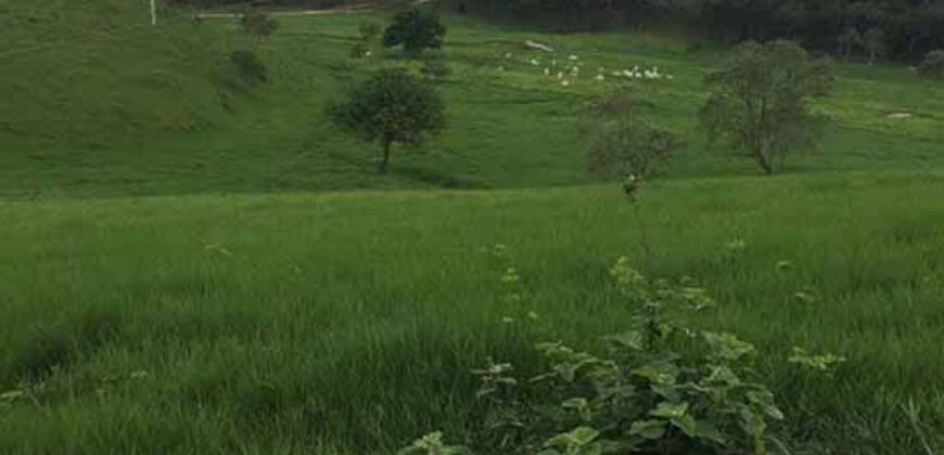 Fazenda a venda na cidade de Silva Jardim/ RJ,  30.6 alqueires