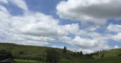 Fazenda a venda na cidade de Silva Jardim/ RJ,  30.6 alqueires