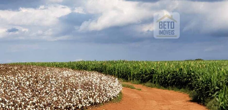 Excelente Fazenda a venda, 934 Alqueires em Paranapanema-SP