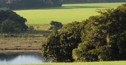 Excelente Fazenda a venda, 934 Alqueires em Paranapanema-SP