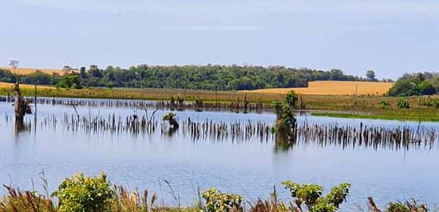 Excelente Fazenda a venda, 934 Alqueires em Paranapanema-SP