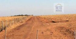 Fazenda Dupla Aptidão, 39.000 hectares no norte de Mato Grosso
