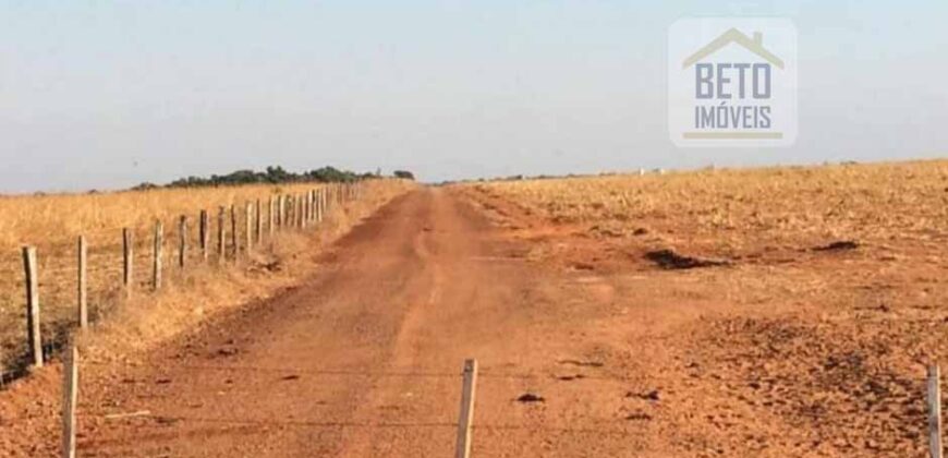 Fazenda Dupla Aptidão, 39.000 hectares no norte de Mato Grosso