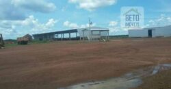Fazenda Dupla Aptidão, 39.000 hectares no norte de Mato Grosso