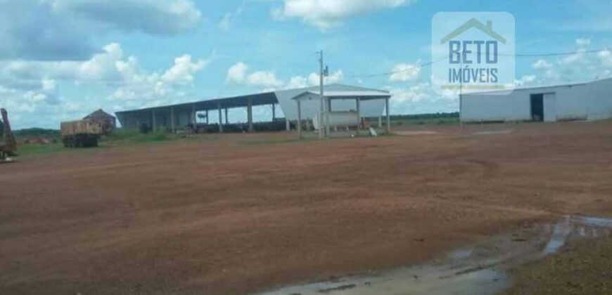 Fazenda Dupla Aptidão, 39.000 hectares no norte de Mato Grosso