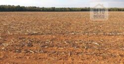Fazenda Dupla Aptidão, 39.000 hectares no norte de Mato Grosso