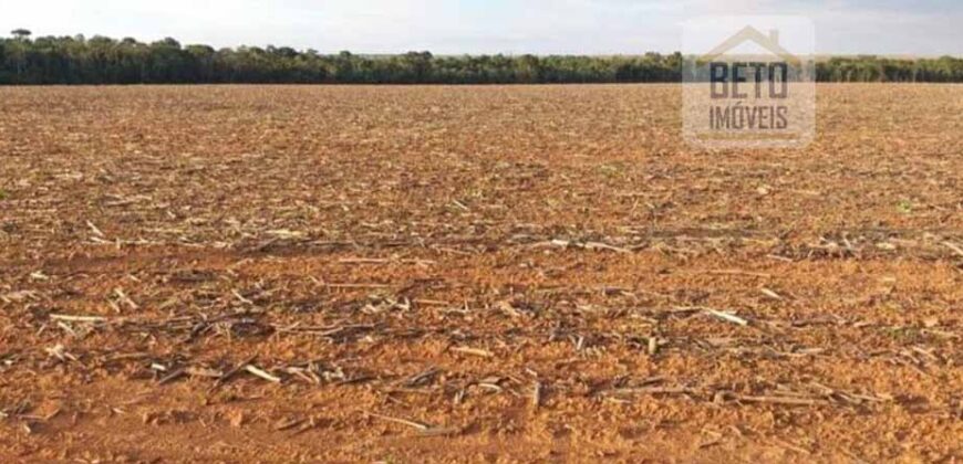 Fazenda Dupla Aptidão, 39.000 hectares no norte de Mato Grosso