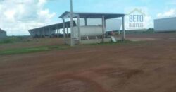 Fazenda Dupla Aptidão, 39.000 hectares no norte de Mato Grosso