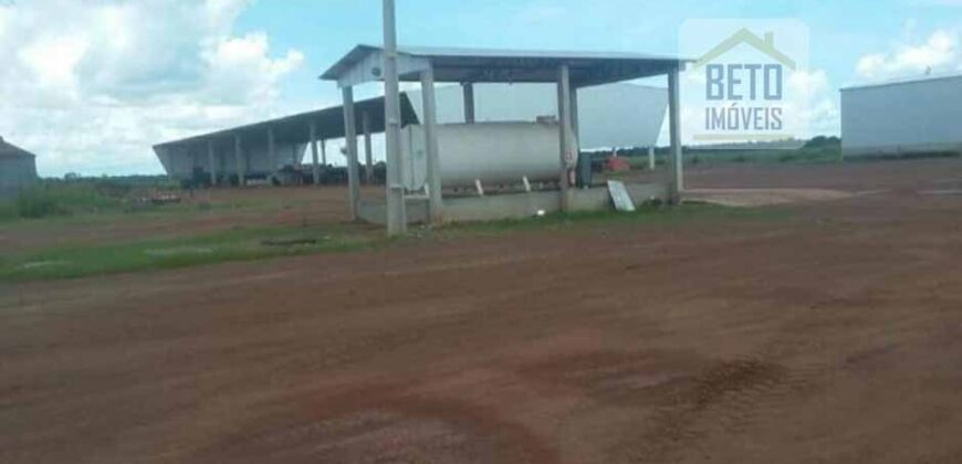 Fazenda Dupla Aptidão, 39.000 hectares no norte de Mato Grosso