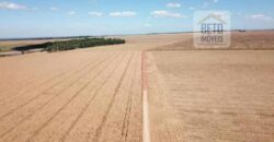 Fazenda Dupla Aptidão, 39.000 hectares no norte de Mato Grosso