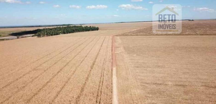 Fazenda Dupla Aptidão, 39.000 hectares no norte de Mato Grosso