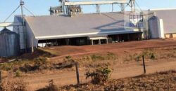 Fazenda Dupla Aptidão, 39.000 hectares no norte de Mato Grosso
