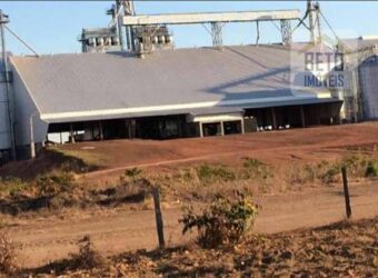 Fazenda Dupla Aptidão, 39.000 hectares no norte de Mato Grosso