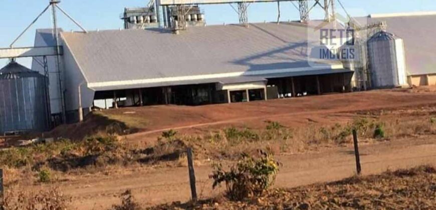 Fazenda Dupla Aptidão, 39.000 hectares no norte de Mato Grosso