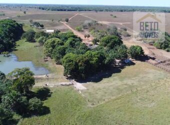 Fazenda com 4.694,8 hectares Dupla Aptidão | Região do Peixe – TO