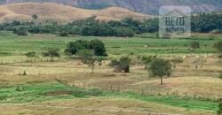 Fazenda p Pastagem c/ Toda Estrutura 37alqueires | Campos dos Goytacazes/ RJ