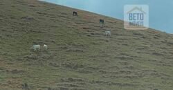 Fazenda p Pastagem c/ Toda Estrutura 37alqueires | Campos dos Goytacazes/ RJ