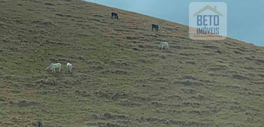 Fazenda p Pastagem c/ Toda Estrutura 37alqueires | Campos dos Goytacazes/ RJ