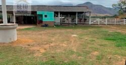 Fazenda p Pastagem c/ Toda Estrutura 37alqueires | Campos dos Goytacazes/ RJ