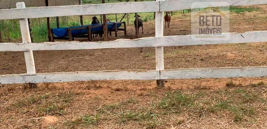 Fazenda p Pastagem c/ Toda Estrutura 37alqueires | Campos dos Goytacazes/ RJ