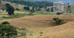 Fazenda p Pastagem c/ Toda Estrutura 37alqueires | Campos dos Goytacazes/ RJ