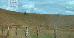 Fazenda p Pastagem c/ Toda Estrutura 37alqueires | Campos dos Goytacazes/ RJ